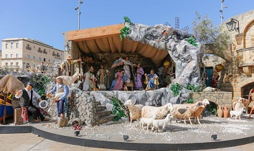 Malta Crib